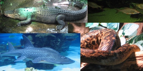 Tropicarium Budapešť